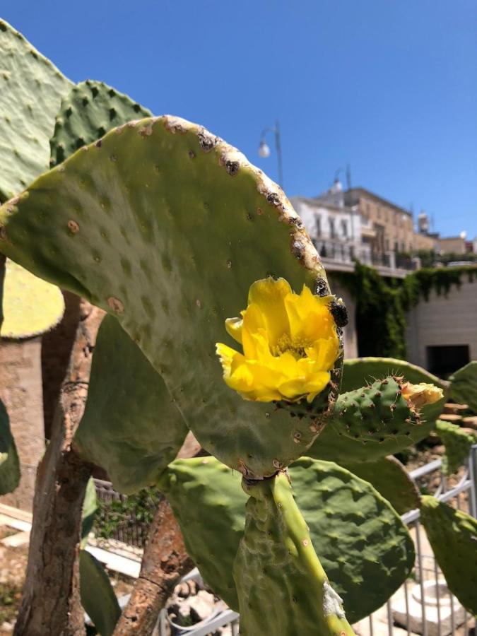 Lamanna Summer House Polignano a Mare Εξωτερικό φωτογραφία