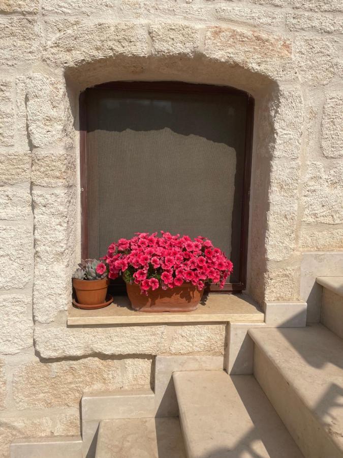 Lamanna Summer House Polignano a Mare Εξωτερικό φωτογραφία